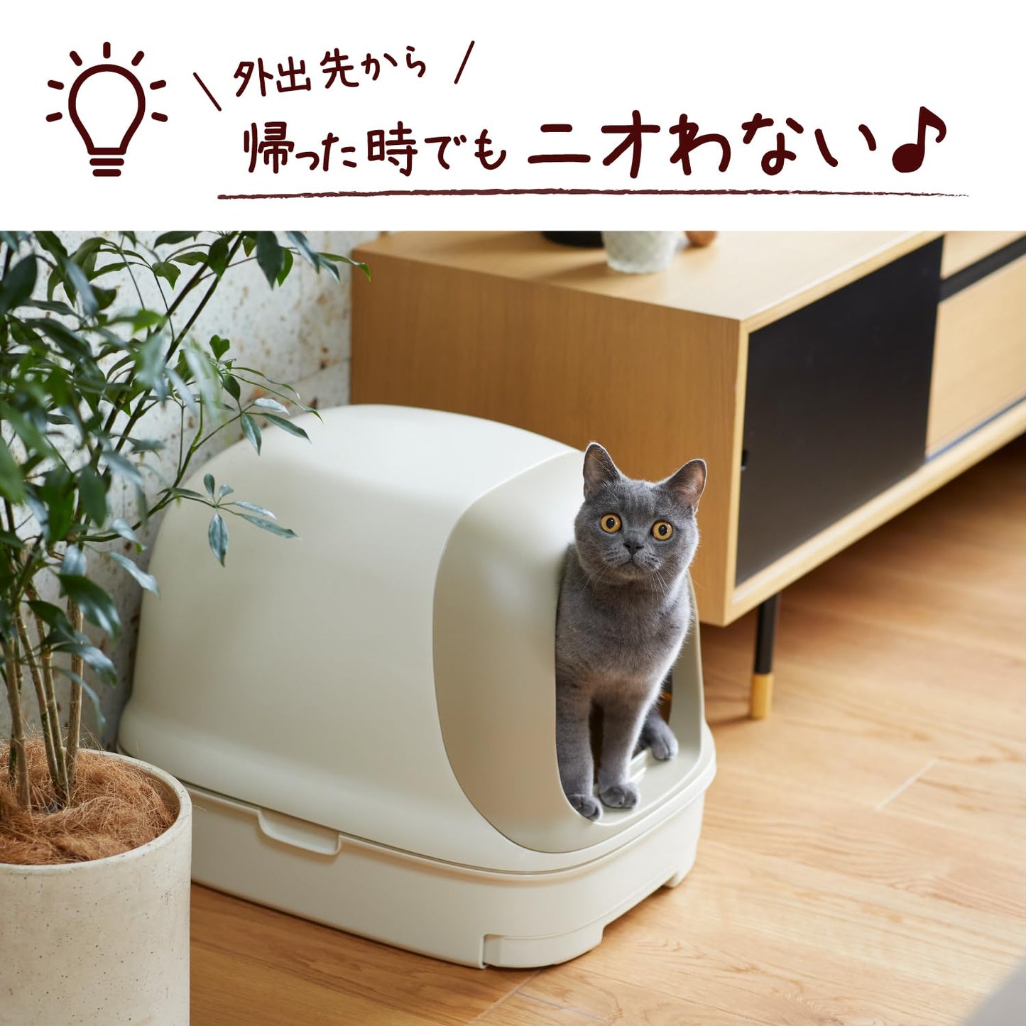 ニャンとも清潔トイレ　脱臭・抗菌チップ　超快デオプレミアム　大きめの粒　４．４Ｌ 容量4400MLペット用品