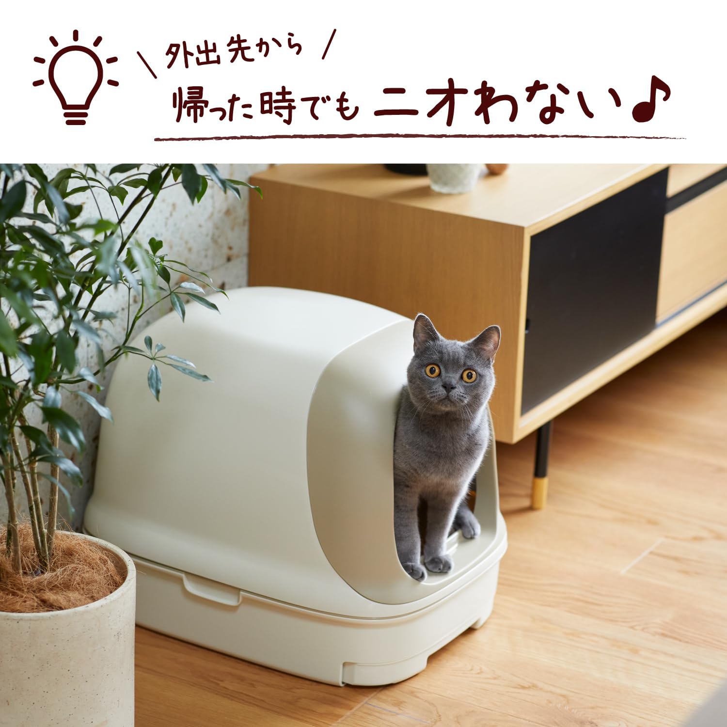ニャンとも清潔トイレ　脱臭・抗菌チップ　超快デオプレミアム　大きめの粒　４．４Ｌ 容量4400MLペット用品