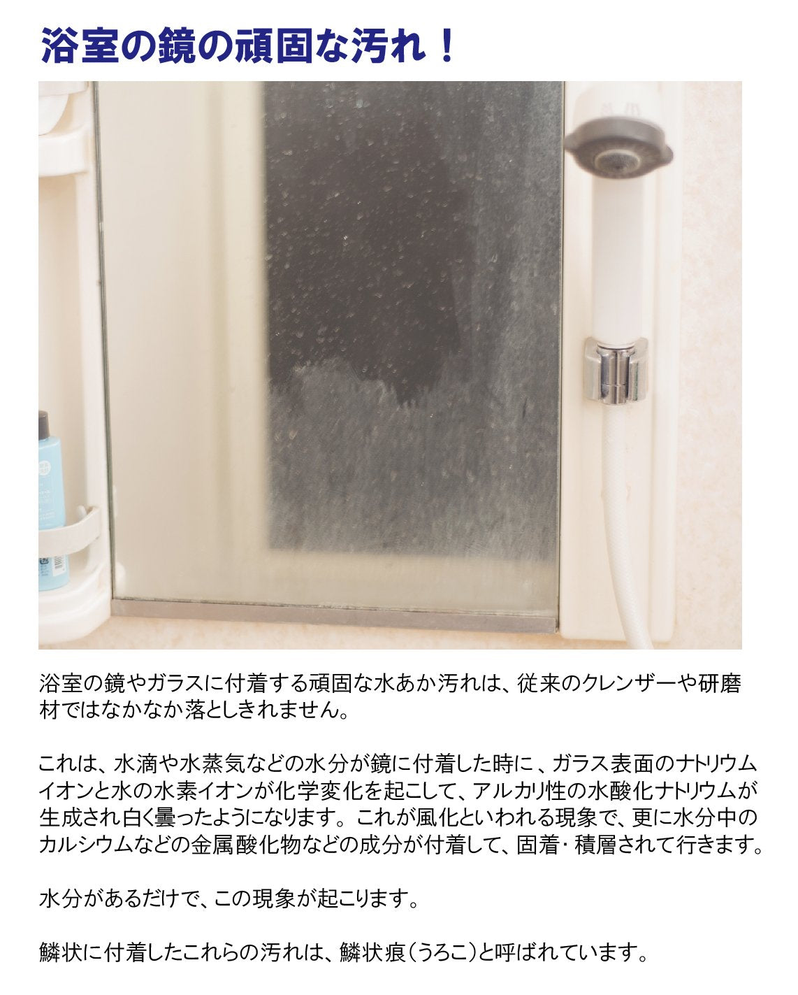 浴室の鏡用　ダイヤ研磨パッド　Ｅ 容量1個 アイン 掃除用品