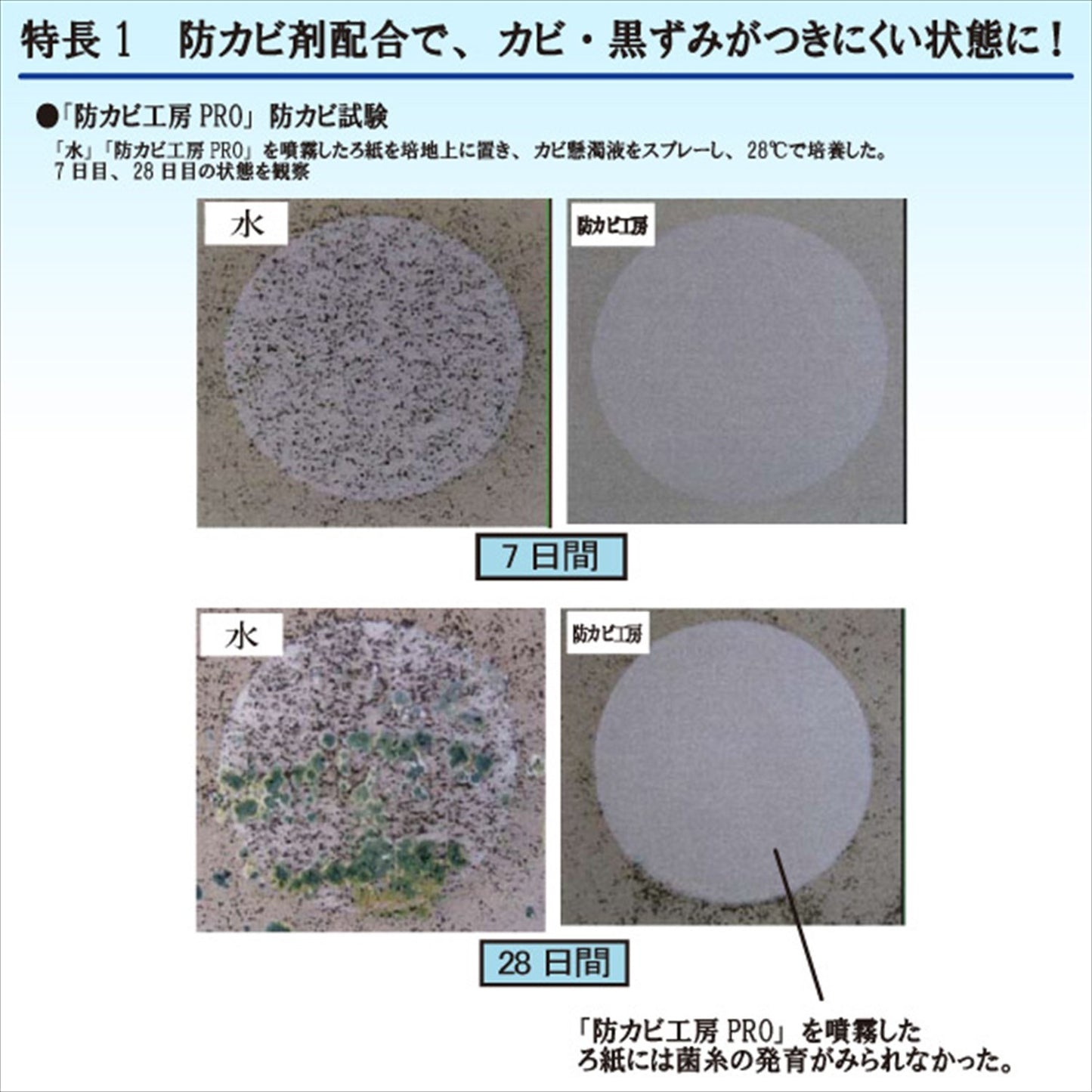 防カビ工房ＰＲＯ　業務用２Ｌ 容量2L ＵＹＥＫＩ 住居洗剤・重曹