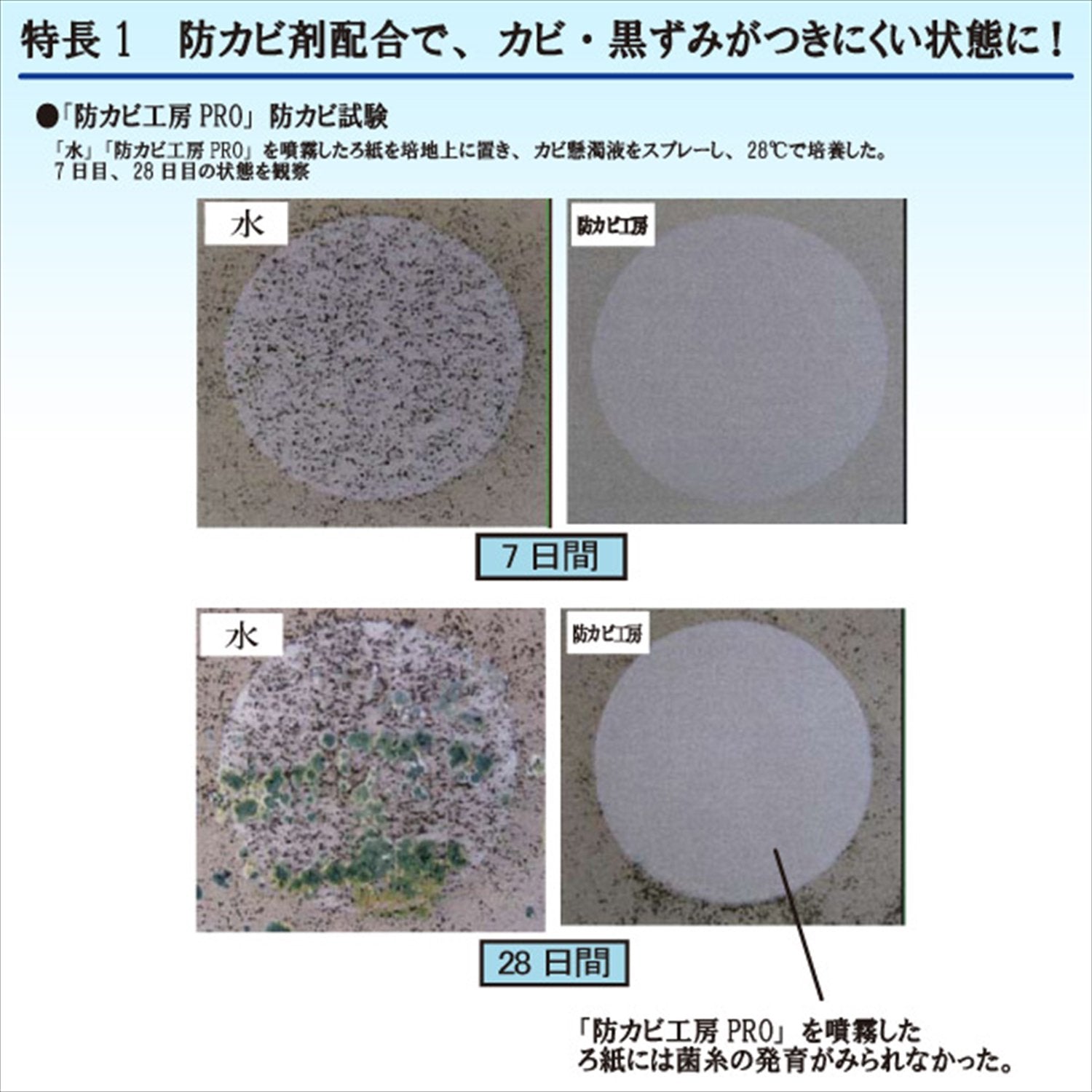 防カビ工房ＰＲＯ　業務用２Ｌ 容量2L ＵＹＥＫＩ 住居洗剤・重曹