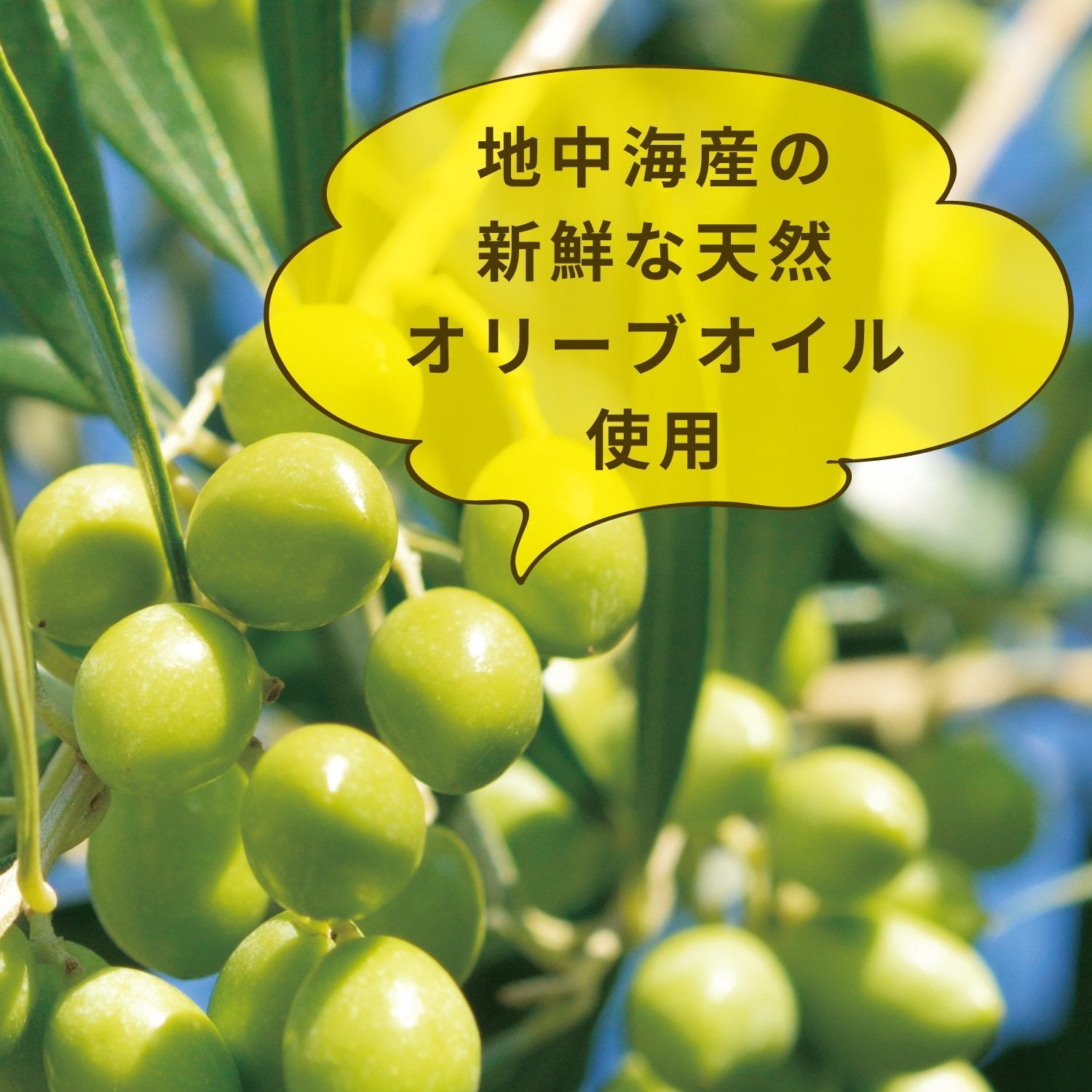 オリーブレーベル　ヘアエッセンスオイル 容量100ML 柳屋本店 スタイリング