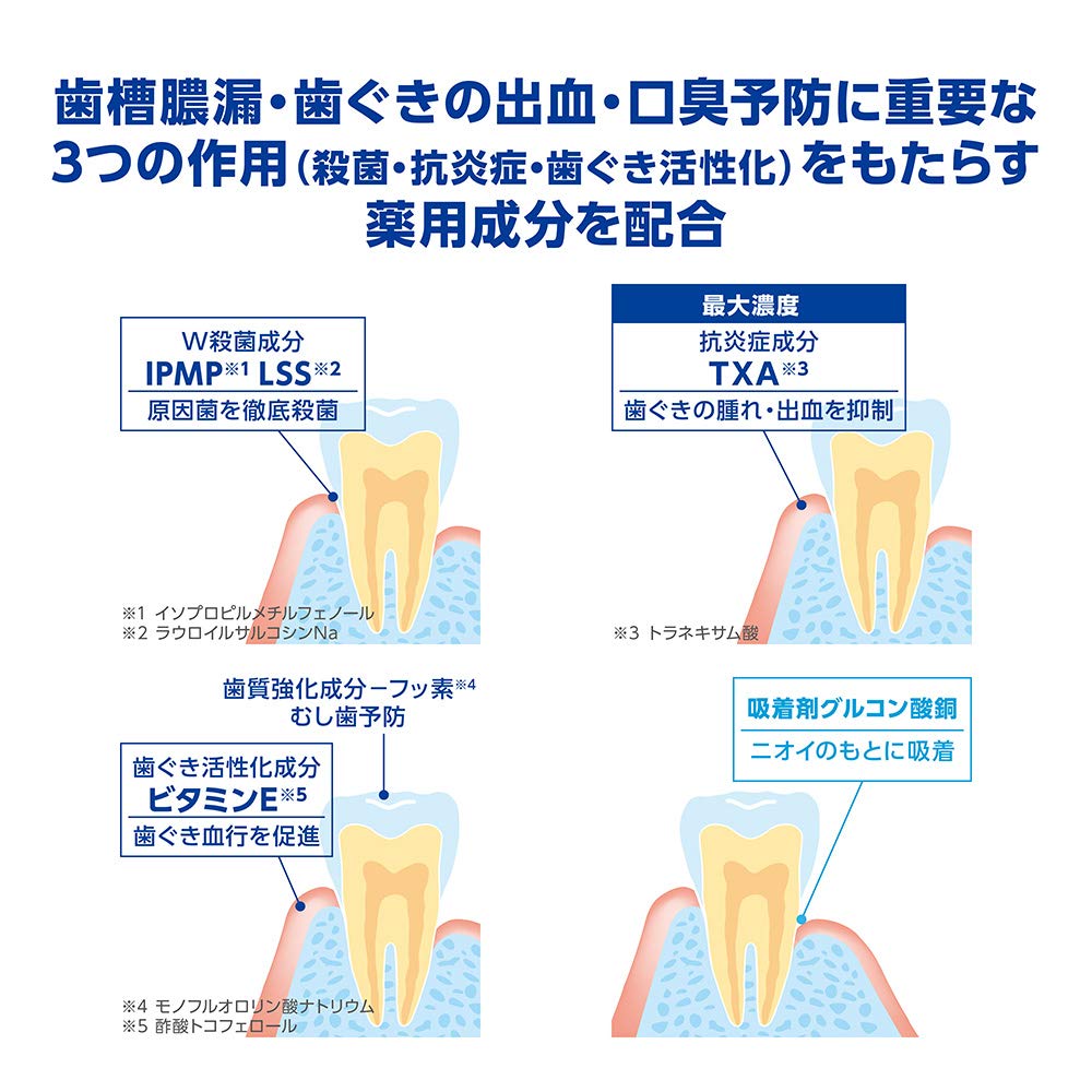 デントヘルス薬用ハミガキ　口臭ブロック　８５ｇ 容量85G ライオン 歯磨き