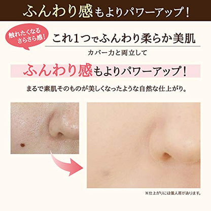 サナ　毛穴パテ職人　ミネラルＢＢパウダー　ＮＭ 容量1個 常盤薬品 メイク