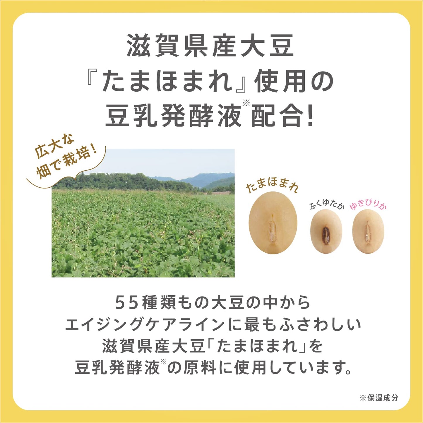 サナ なめらか本舗 リンクル化粧水 N 容量200ML 常盤薬品 化粧水・ローション