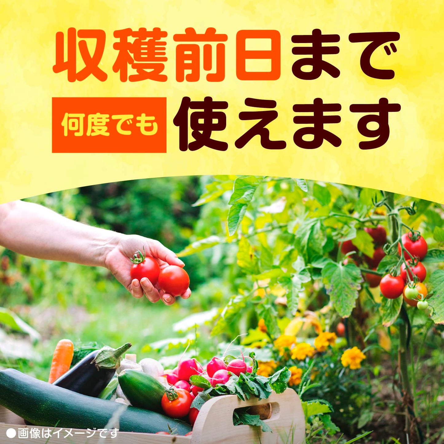 アースガーデン ロハピ 1000ml 容量1000ML アース製薬 園芸用品・殺虫剤