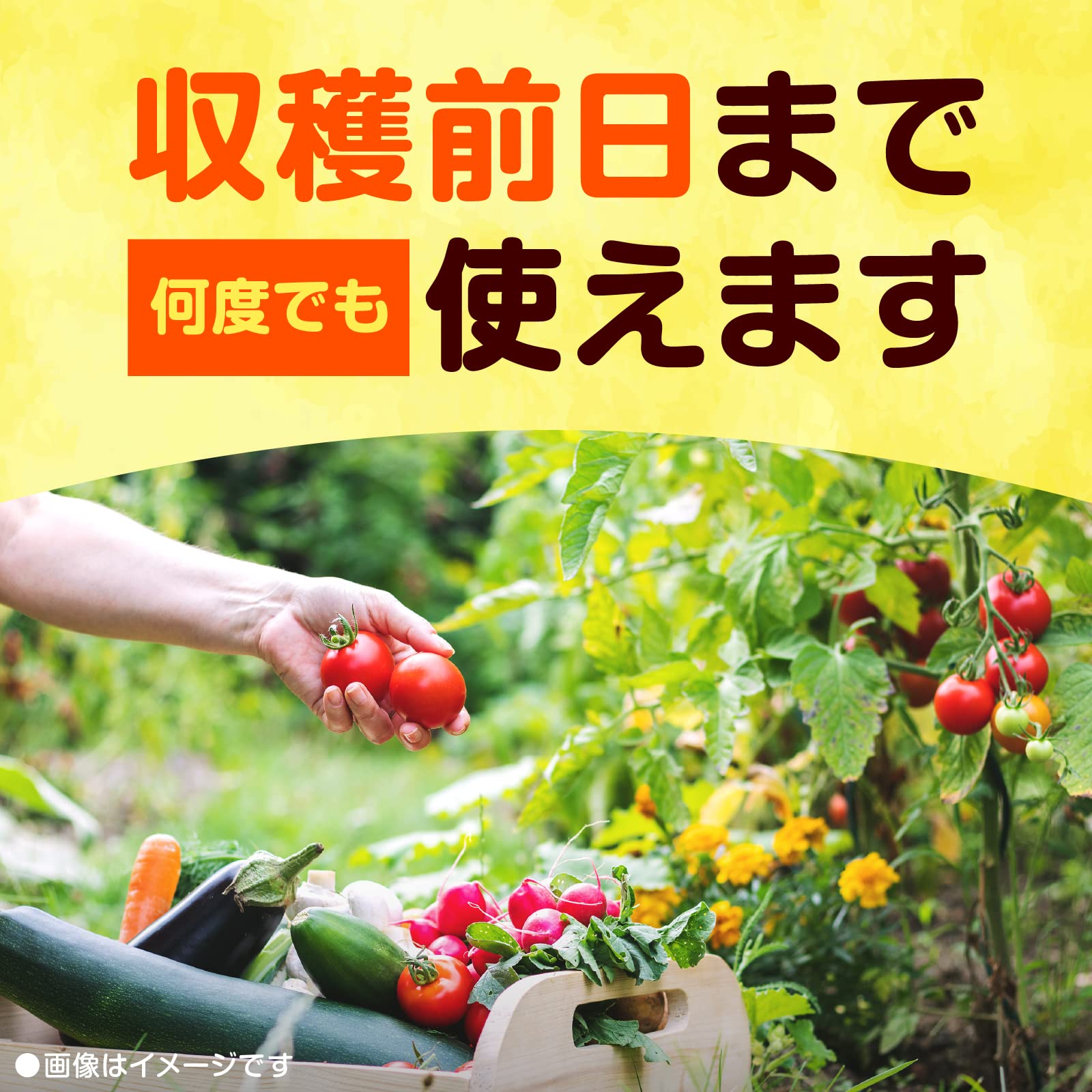 アースガーデン ロハピ 1000ml 容量1000ML アース製薬 園芸用品・殺虫剤