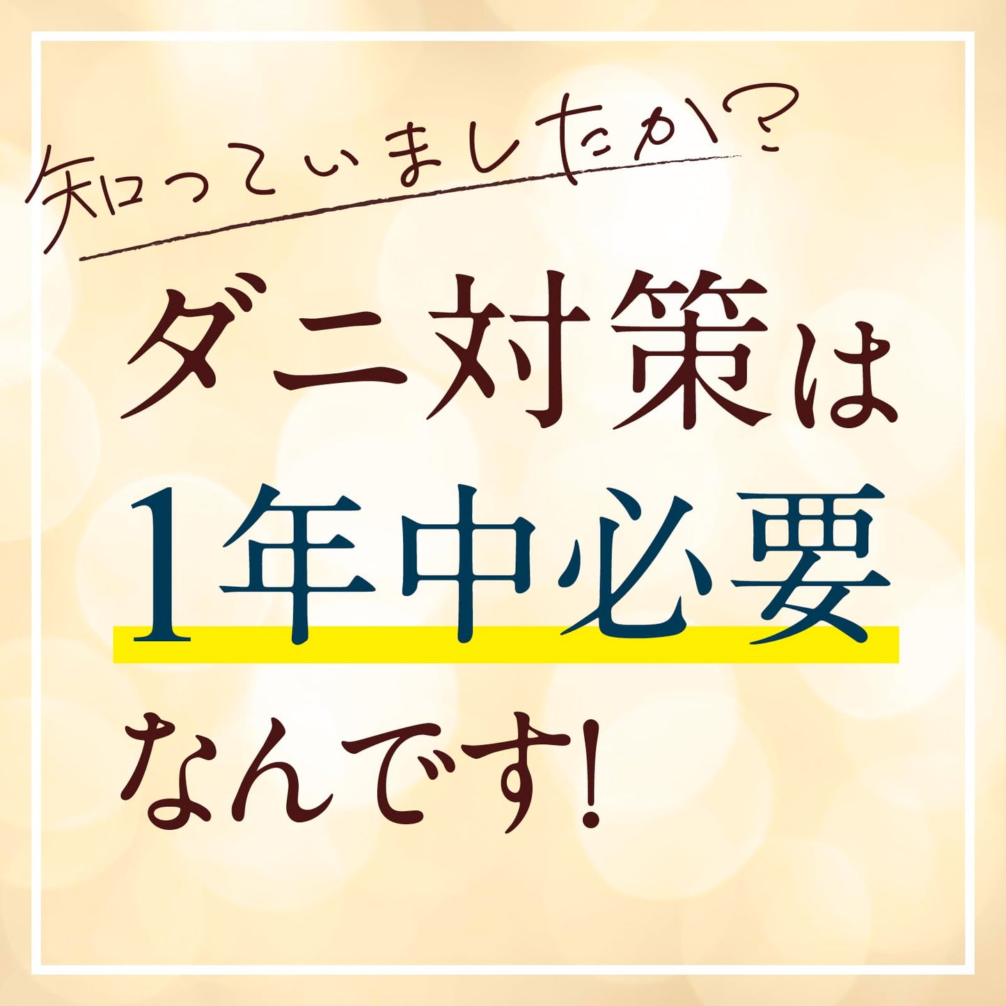 ピレパラアース 防虫力 ダニよけスプレー 詰替え 260ml 容量260ML アース製薬 防虫剤