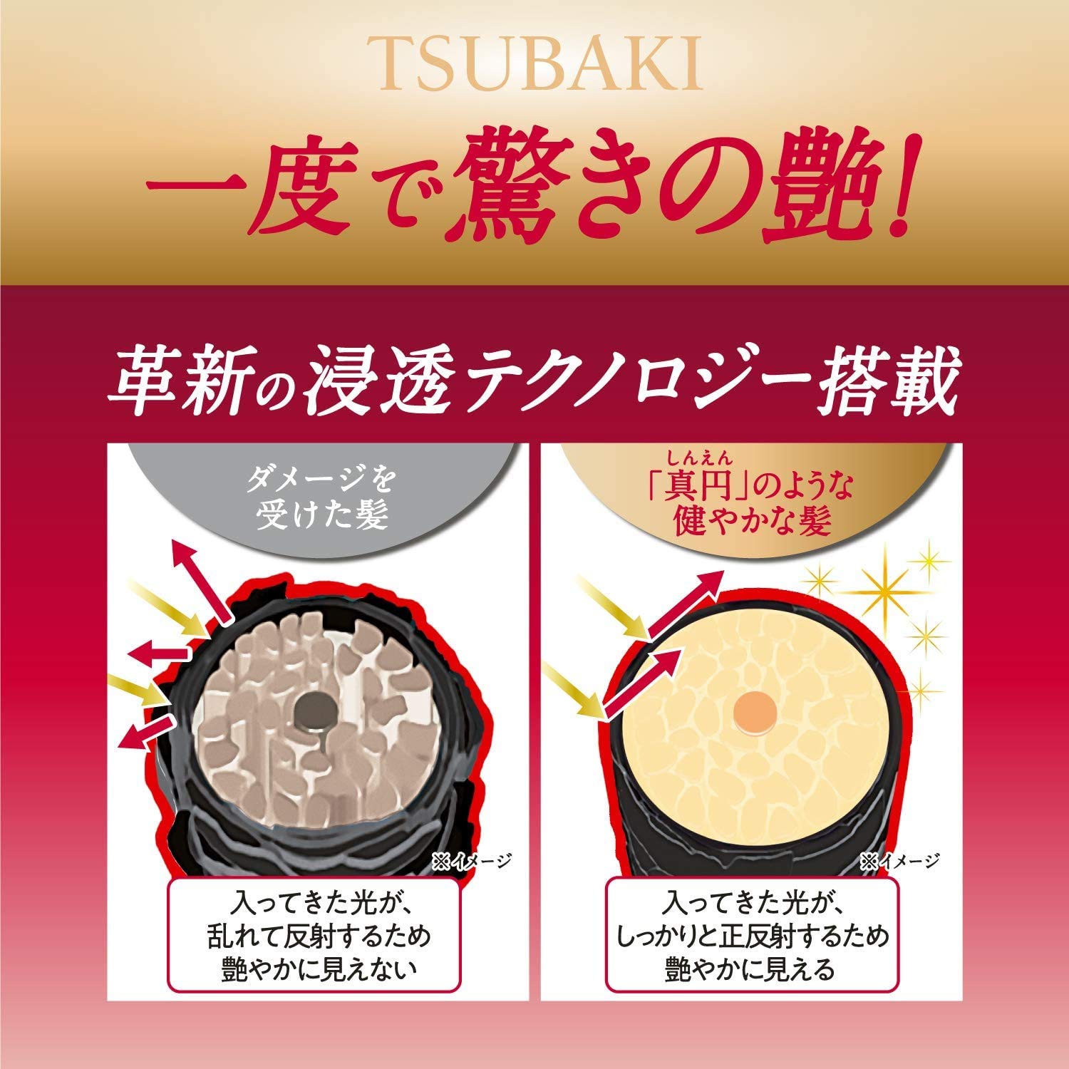 TSUBAKI ツバキ プレミアムリペア シャンプー 詰替え 330ml 容量330ML シャンプー