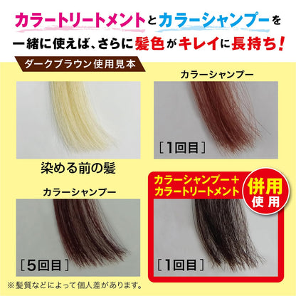 テンスターカラーシャンプーDBR 300ML 容量300ML 三宝商事 ヘアカラー・白髪用