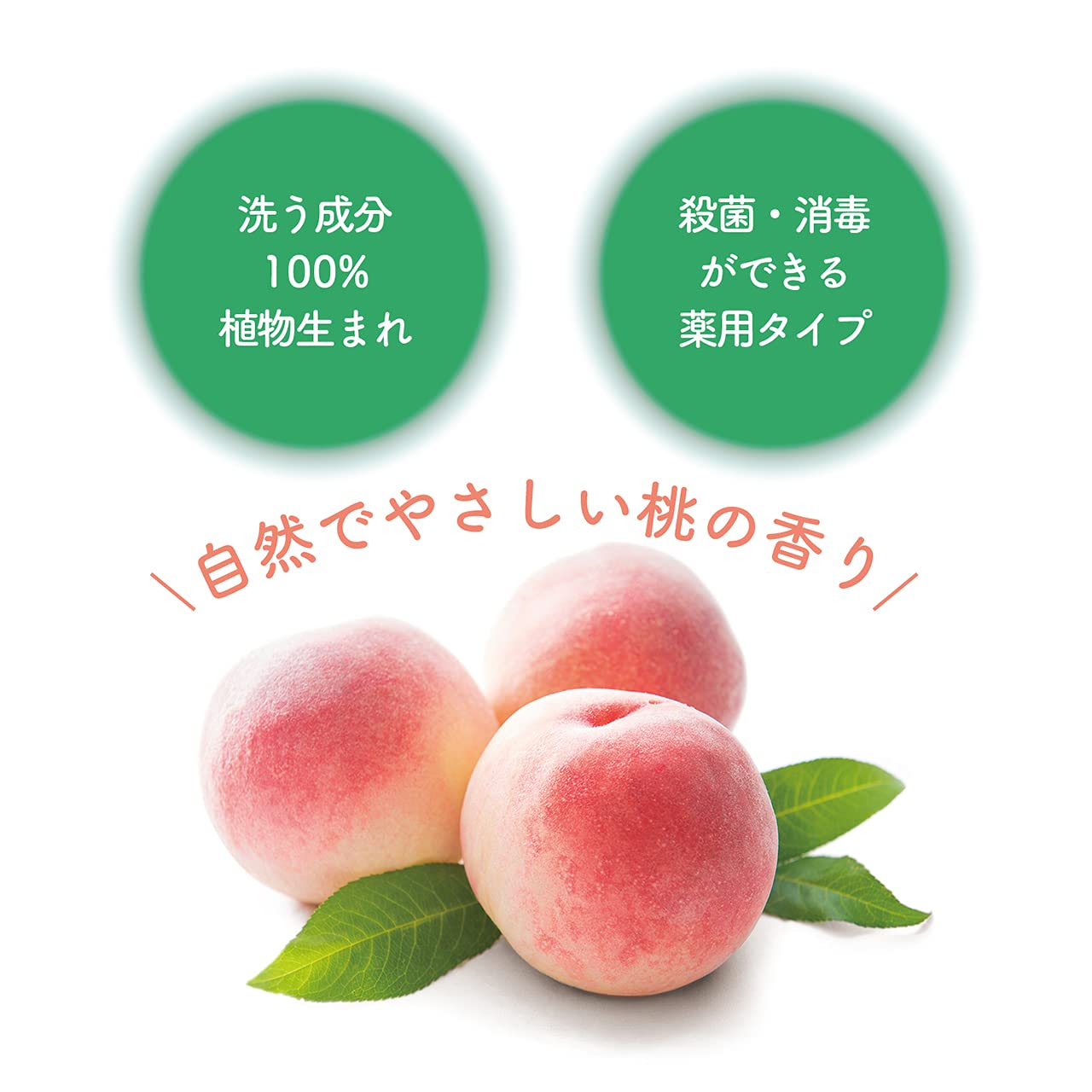 ナイーブ 薬用植物性 泡ハンドソープ ポンプ すみっコぐらし 容量500ML クラシエ