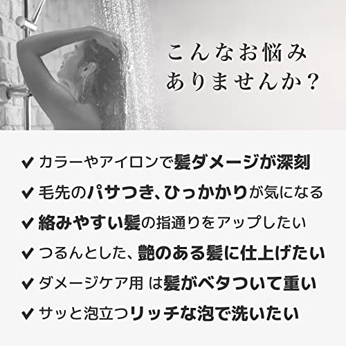 いち髪 THE PREMIUM シャンプー（シャイニーモイスト）詰替用容量340MLクラシエ