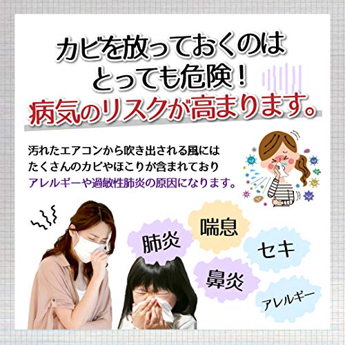 エアコンカビトルデス車用 80ml 容量80ML ＵＹＥＫＩ カー用品・洗剤・クリーナー
