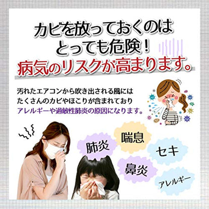 エアコンカビトルデス車用 80ml 容量80ML ＵＹＥＫＩ カー用品・洗剤・クリーナー