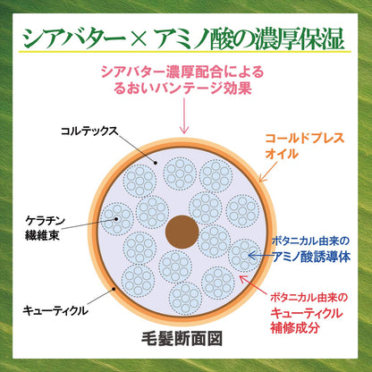 SS ビオリス ヴィーガニー ボタニカル ヘアトリートメント 容量200Gコーセーコスメポート