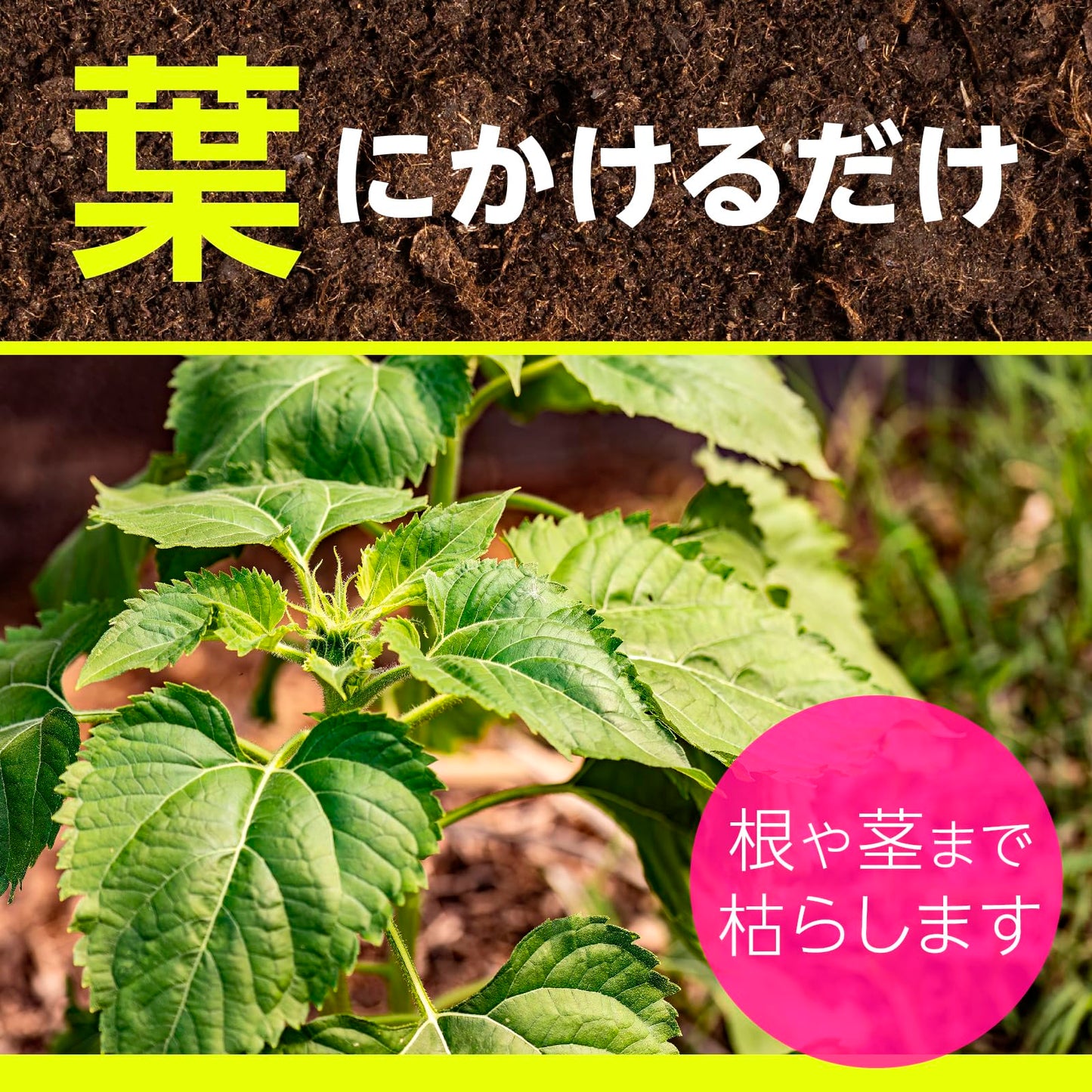 アースガーデン草消滅４．５Ｌ 容量4500ML アース製薬 園芸用品・殺虫剤