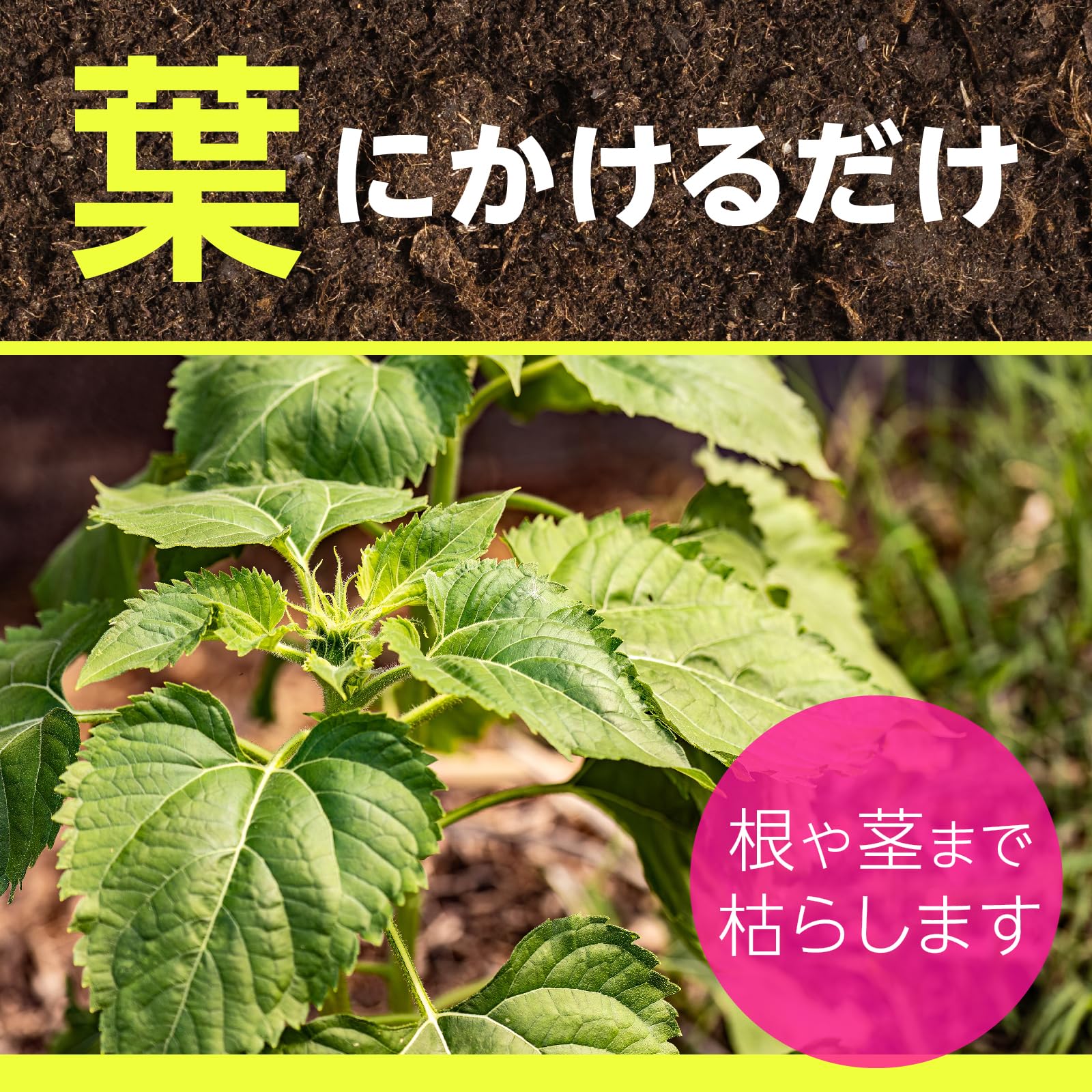 アースガーデン草消滅４．５Ｌ 容量4500ML アース製薬 園芸用品・殺虫剤