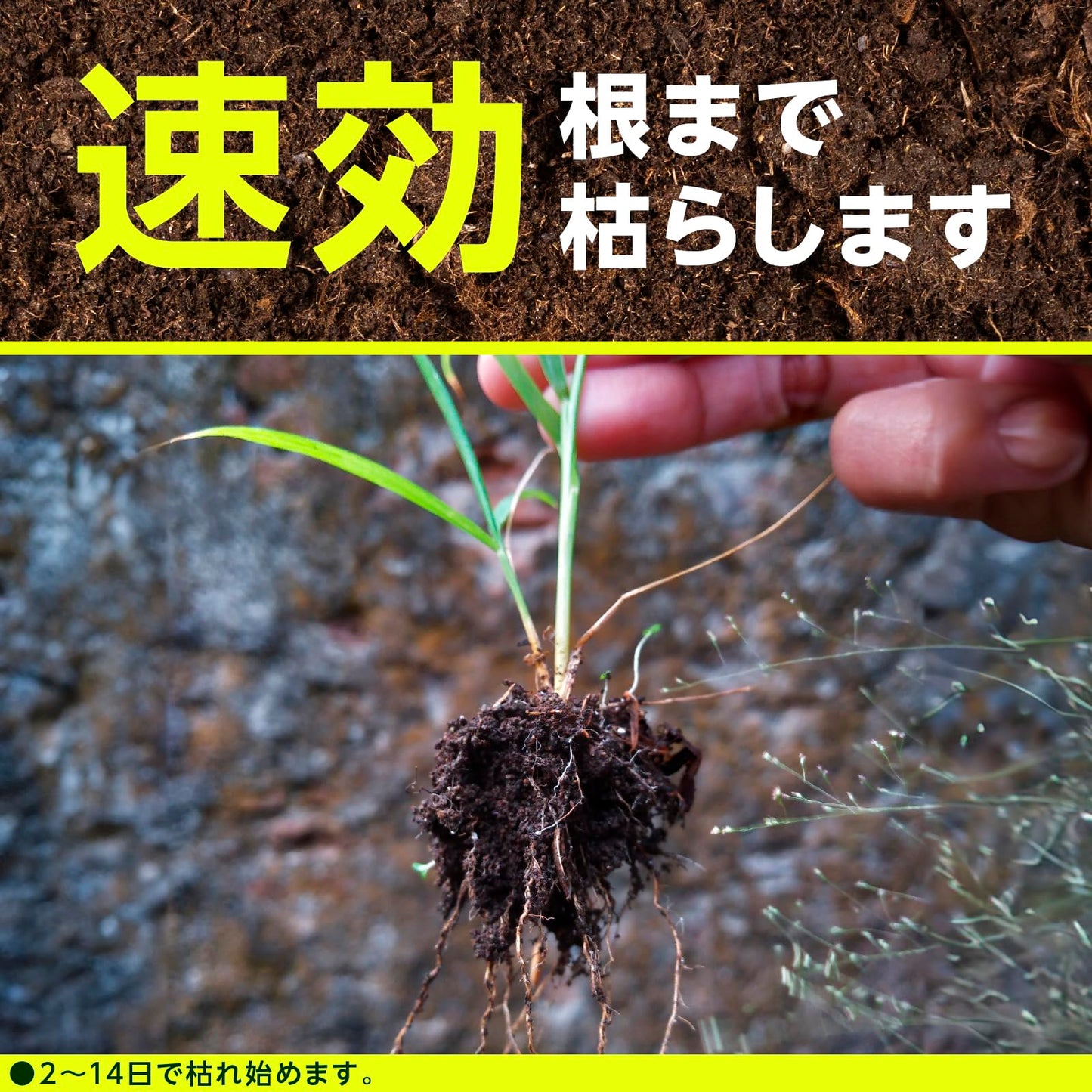 アースガーデン草消滅４．５Ｌ 容量4500ML アース製薬 園芸用品・殺虫剤