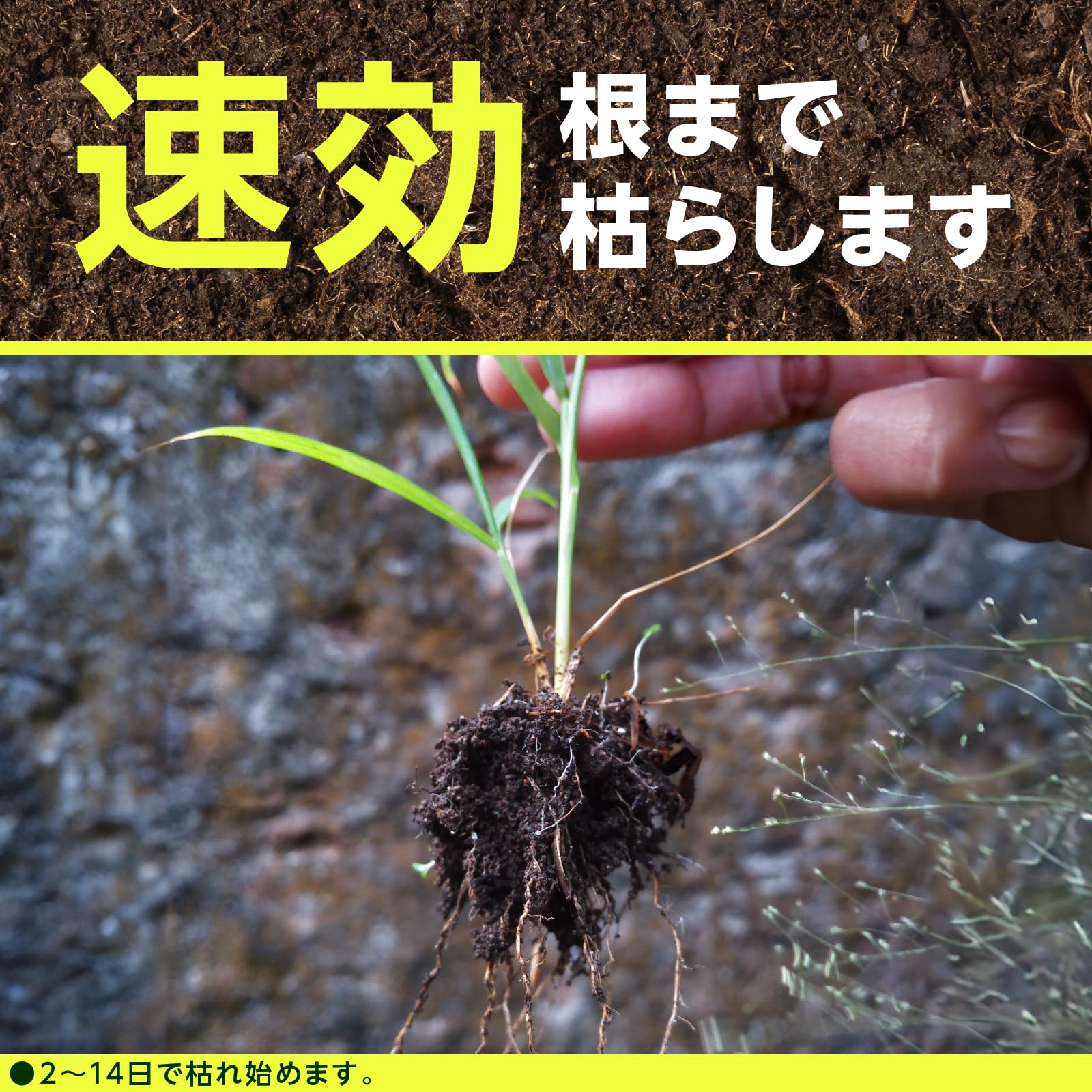 アースガーデン草消滅４．５Ｌ 容量4500ML アース製薬 園芸用品・殺虫剤