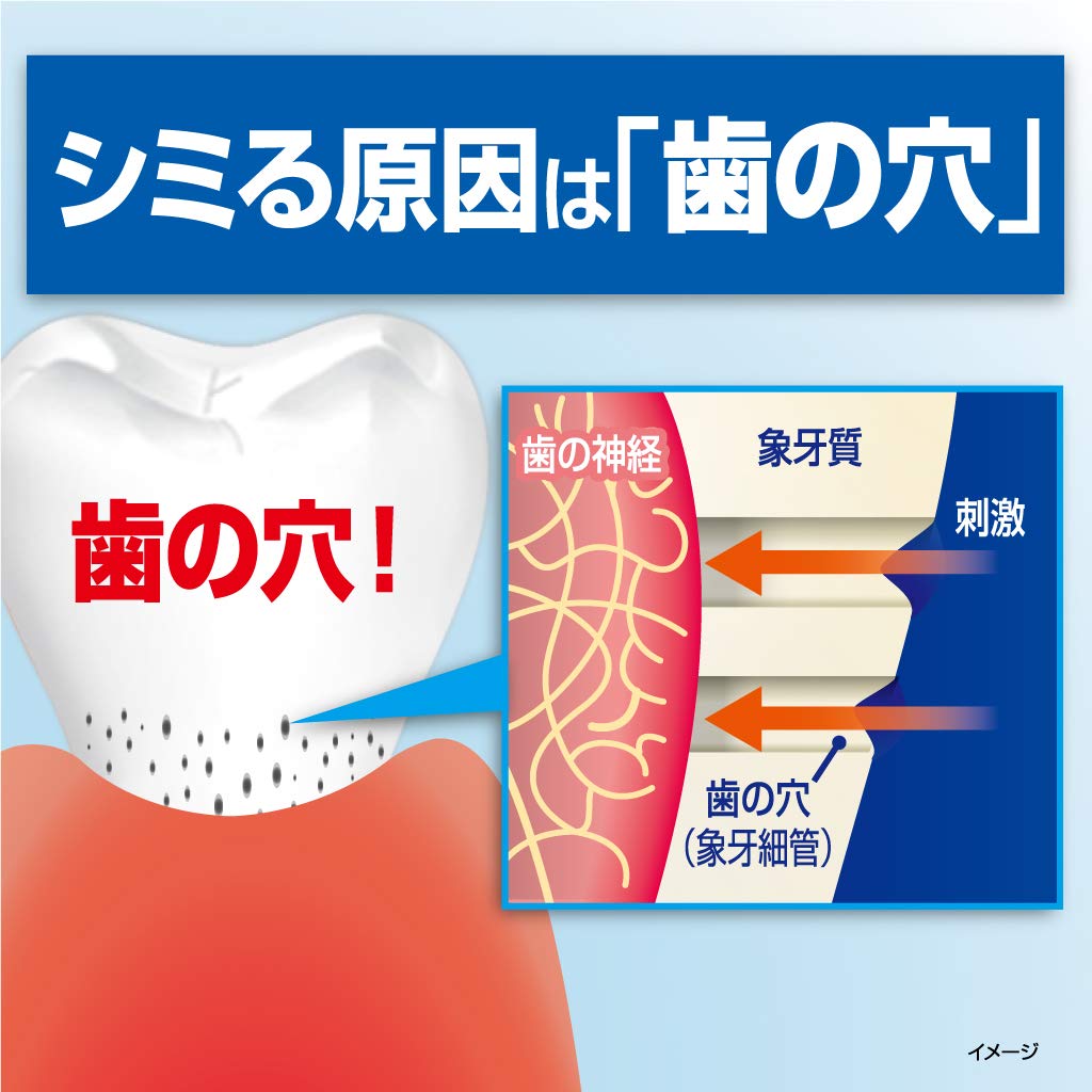 ハウメル 容量100G 小林製薬 歯磨き