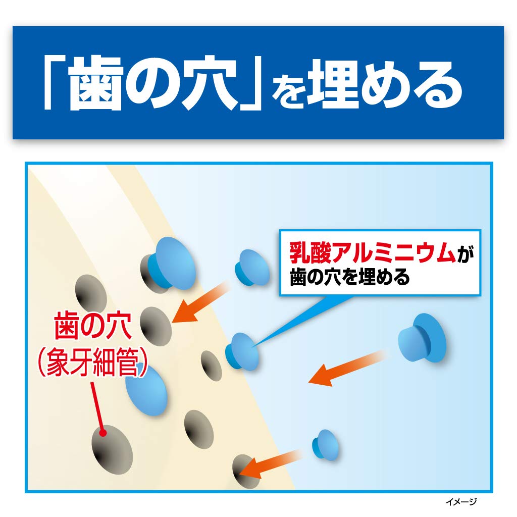 ハウメル 容量100G 小林製薬 歯磨き