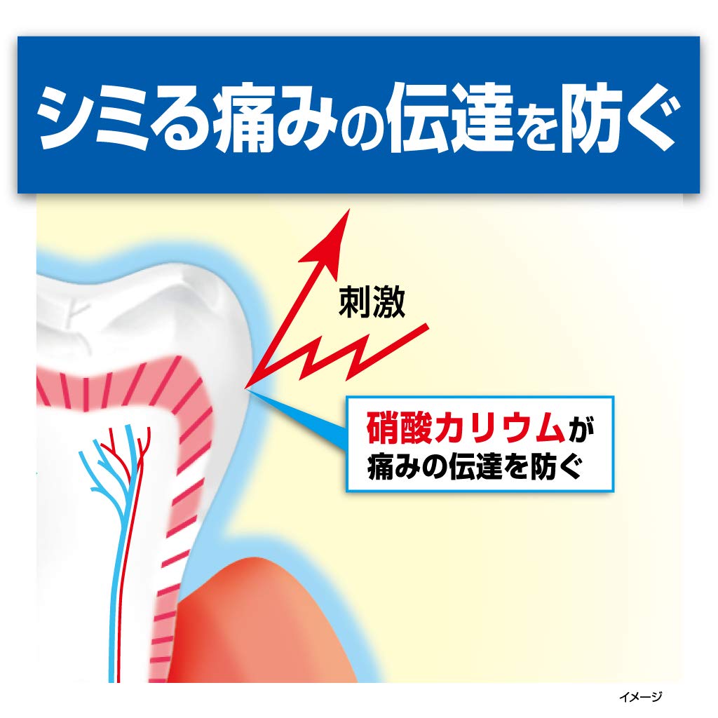 ハウメル 容量100G 小林製薬 歯磨き