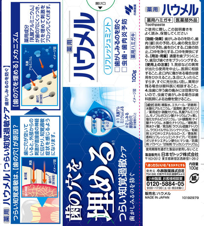 ハウメル 容量100G 小林製薬 歯磨き