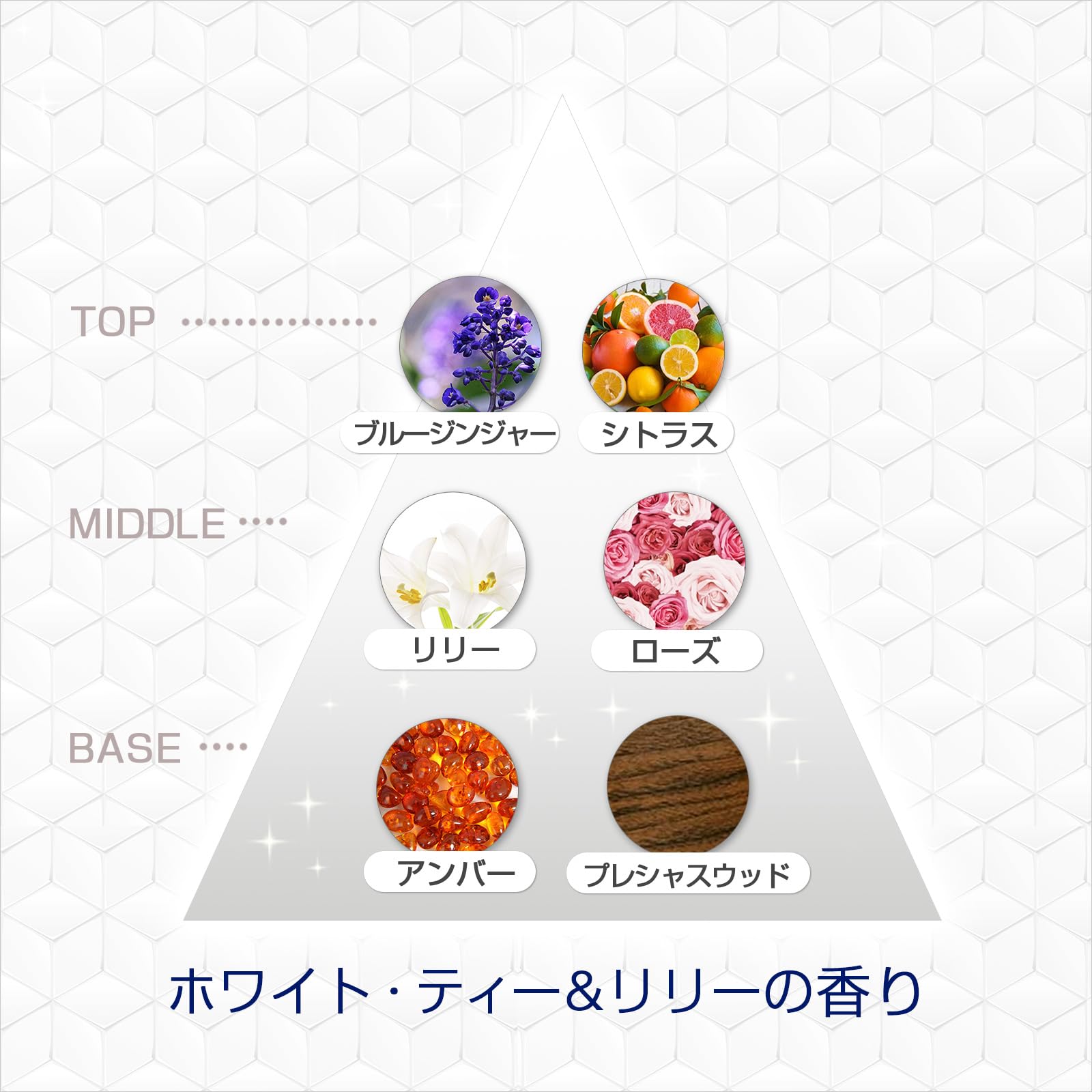 ファブリーズＷ消臭　玄関用消臭剤　ホワイト・ティー＆リリー２個パック 容量1コＰ＆Ｇ 芳香剤・部屋用