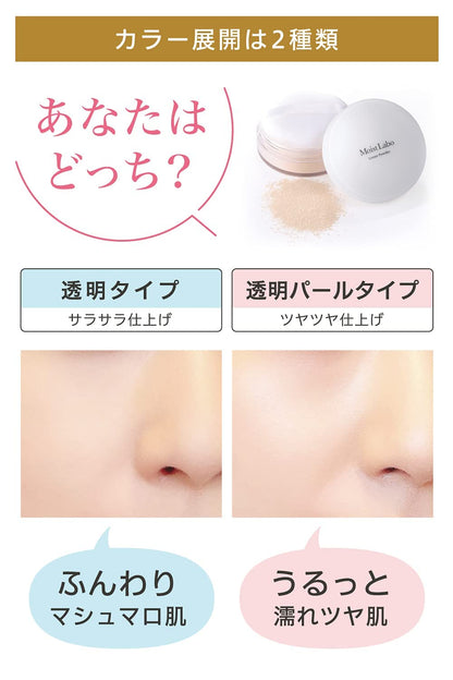 モイストラボ　ルースパウダー〈透明タイプ〉 容量1ｺ 明色化粧品 メイク