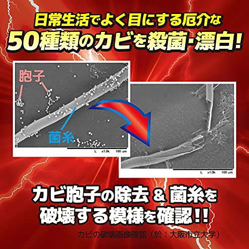 ウルトラハードクリーナー　カビ用 容量200G リンレイ 住居洗剤・カビとり剤