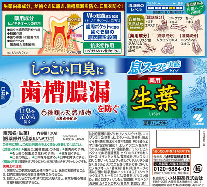 生葉Ｉ息スーッと実感１００ｇ 容量100G 小林製薬 歯磨き
