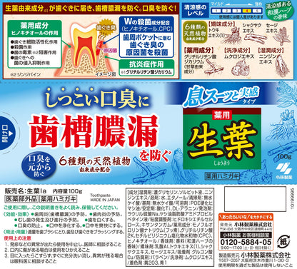 生葉Ｉ息スーッと実感１００ｇ 容量100G 小林製薬 歯磨き
