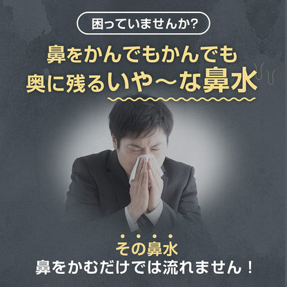 チクナイン鼻洗浄器（本体付き）６包 容量6ホウ 小林製薬 うがい薬