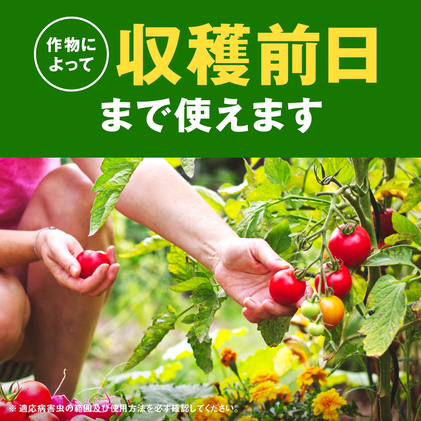 アースガーデン野菜うまし１０００ｍｌ 容量1000MLアース製薬 園芸用品・殺虫剤