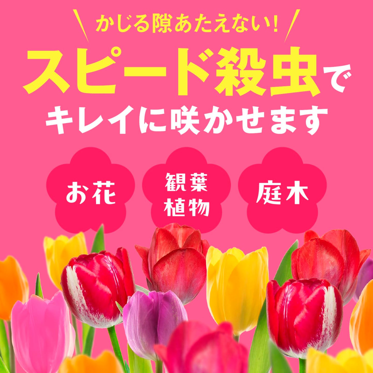 アースガーデン花いとし１０００ｍｌ 容量1000MLアース製薬 園芸用品・殺虫剤
