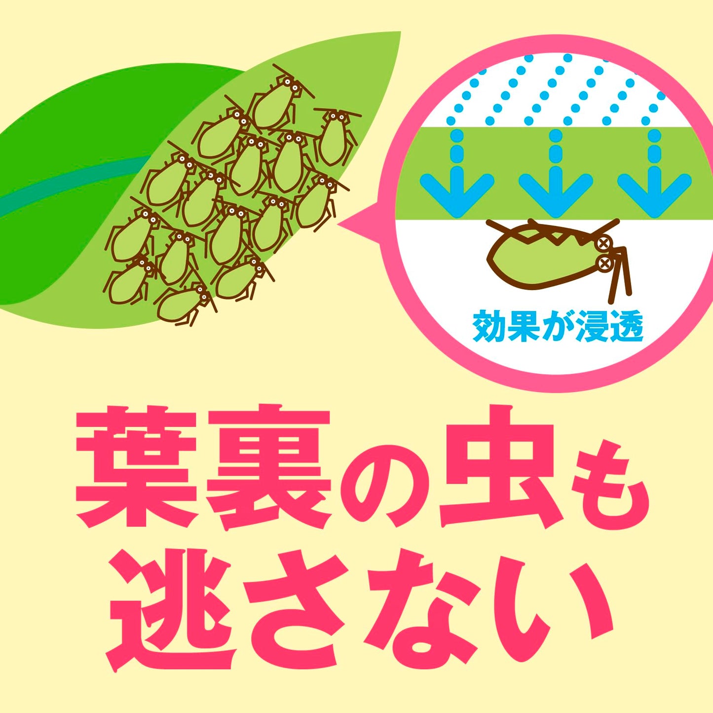 アースガーデン花いとし１０００ｍｌ 容量1000MLアース製薬 園芸用品・殺虫剤