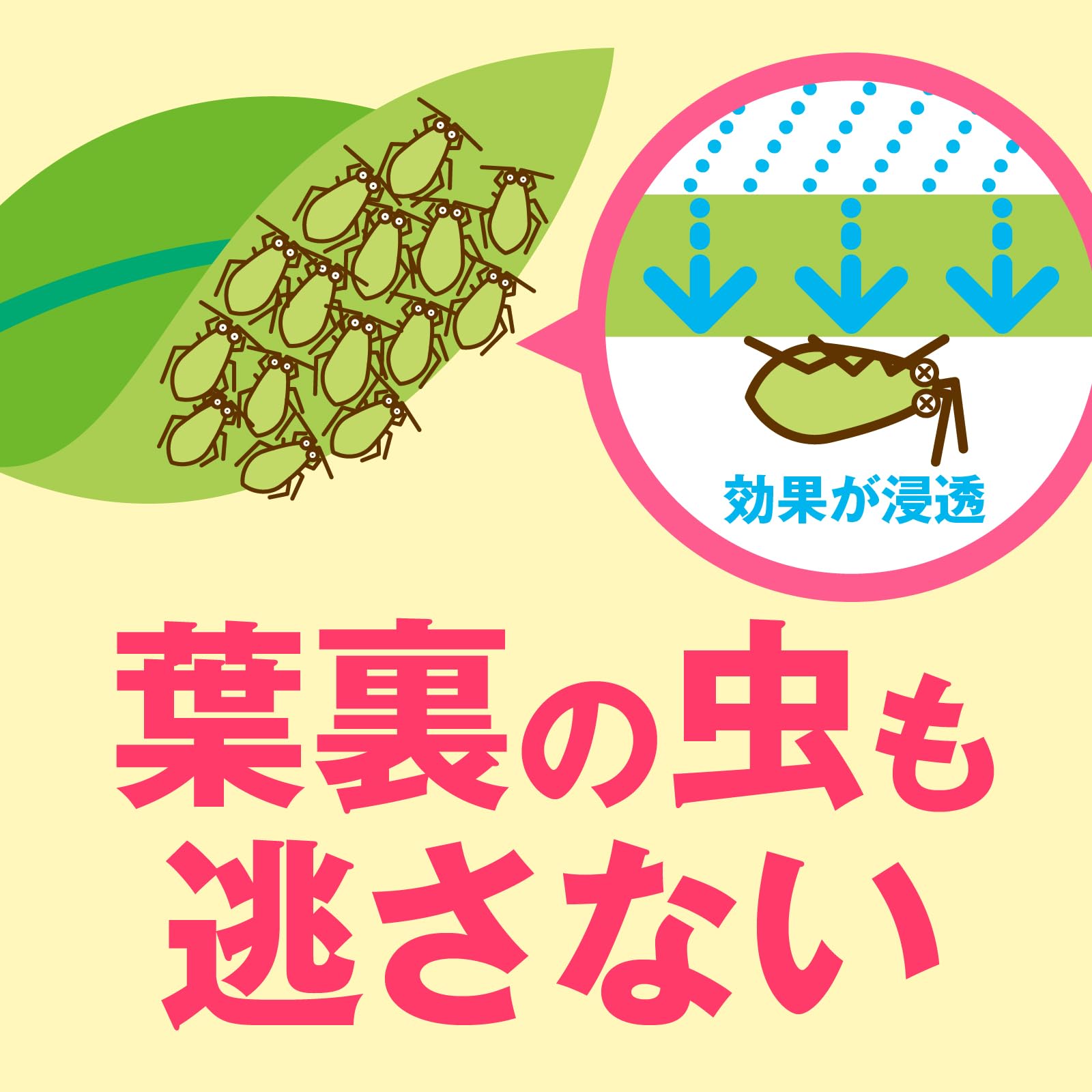 アースガーデン花いとし１０００ｍｌ 容量1000MLアース製薬 園芸用品・殺虫剤