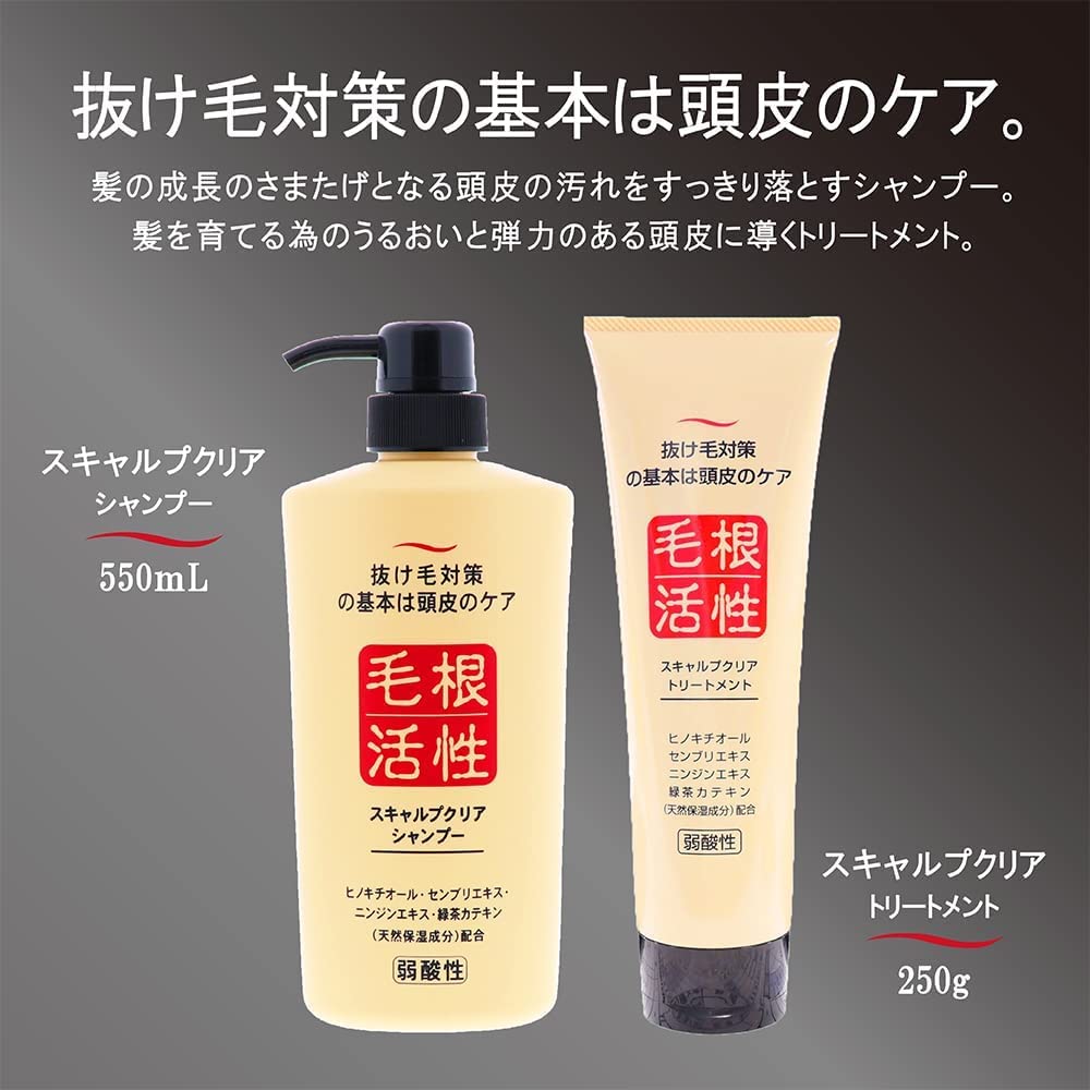 スキャルプクリアシャンプー 容量550ML ジュン・コスメティック シャンプー