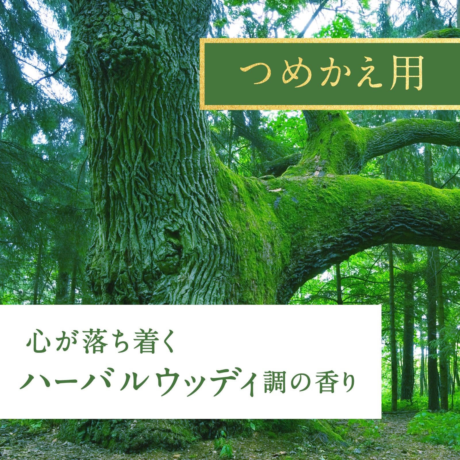 Ｓｕｋｋｉ－ｒｉ！ＣＯＲＫ＋ＳＴＩＣＫ－Ｐｕｒｉｔｕｒｅ－「大樹の下で」替え 容量100ML芳香剤・部屋用