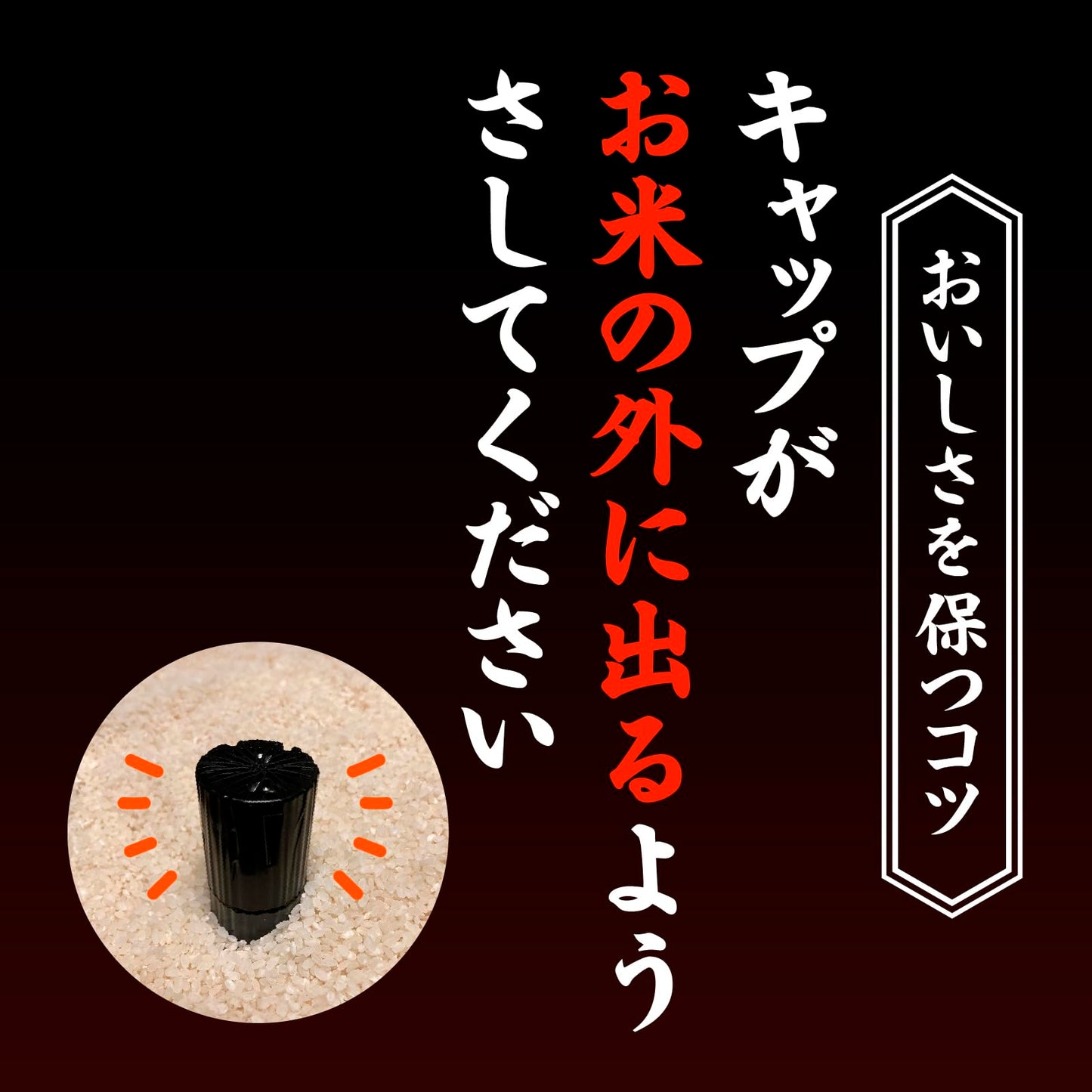 本格炭のチカラ１０～３０ｋｇタイプ 容量1ｺアース製薬 防虫剤