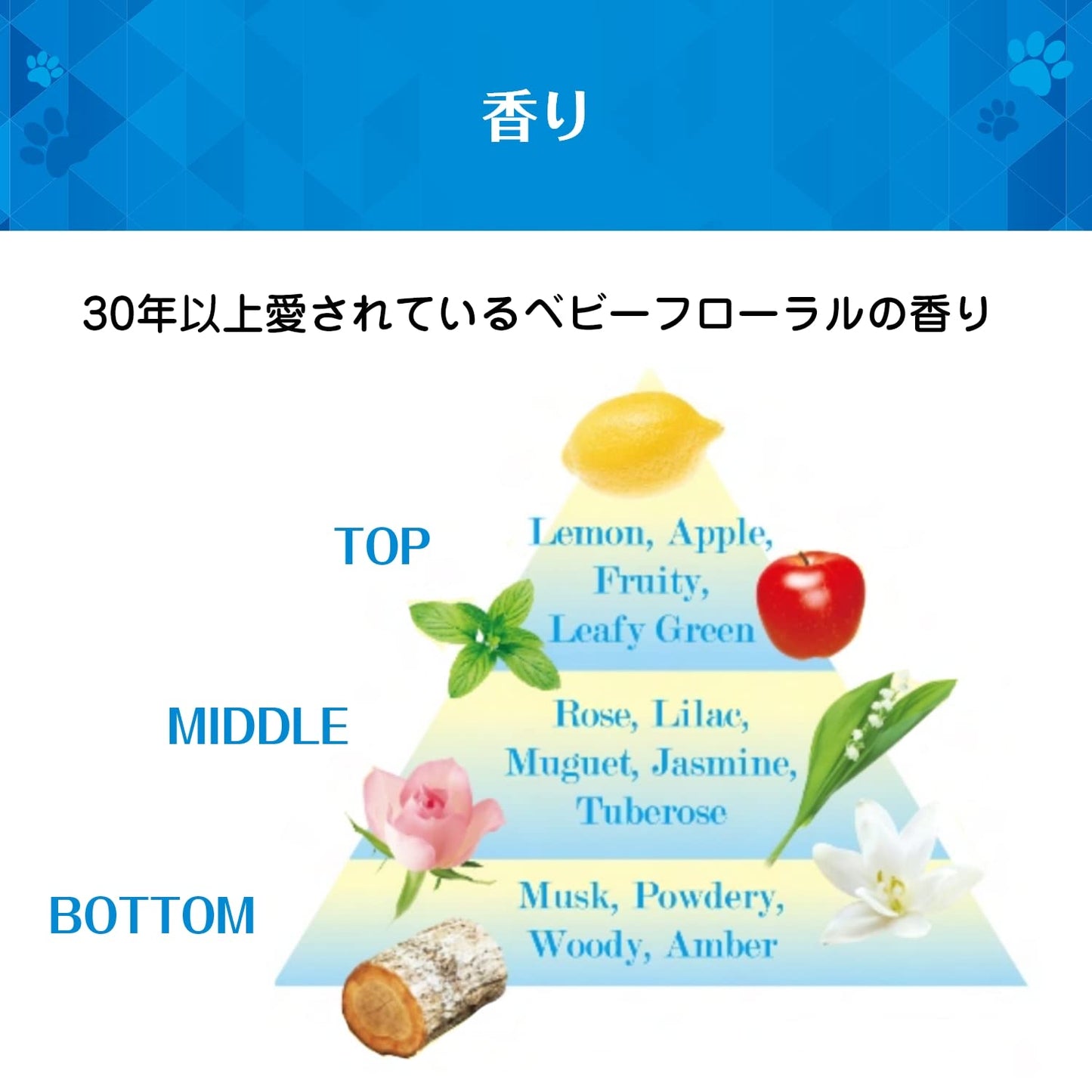 ＦＡ３倍濃縮超コンパクト粉末洗剤５００ｇ 容量500G ＮＳファーファ・ジャパン