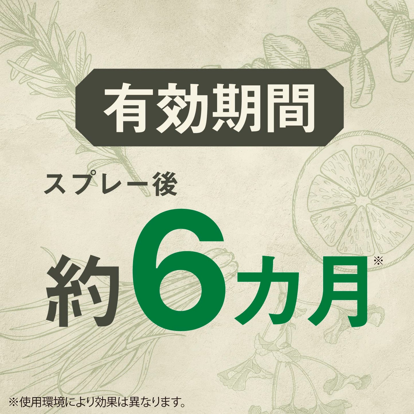 ピレパラアース　ＭａｇｉｃＰｕｓｈ　ボタニカル　６０回分 容量1ﾎﾝ アース製薬 防虫剤