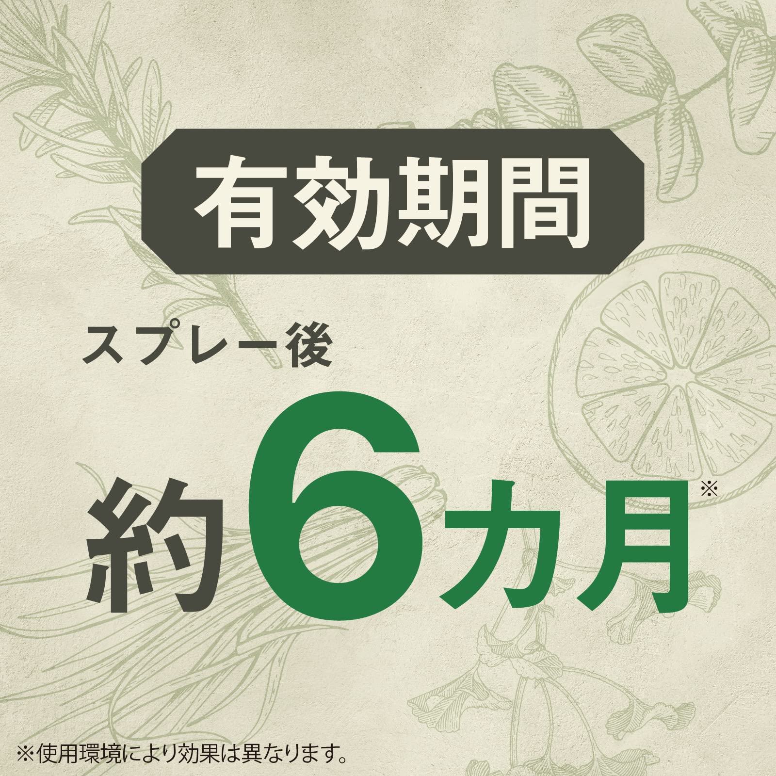 ピレパラアース　ＭａｇｉｃＰｕｓｈ　ボタニカル　６０回分 容量1ﾎﾝ アース製薬 防虫剤