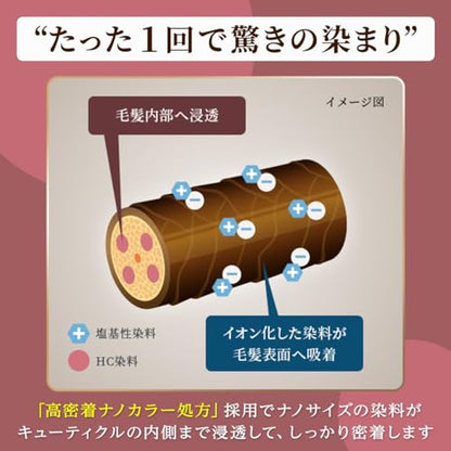 シエロ　カラートリートメント　リタッチ用　ナチュラルブラウン 容量140Gホーユー ヘアカラー・白髪用