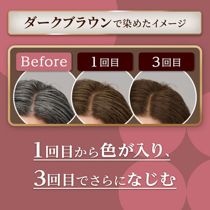 シエロ　カラートリートメント　全体用　ダークブラウン 容量230G ホーユー ヘアカラー・白髪用
