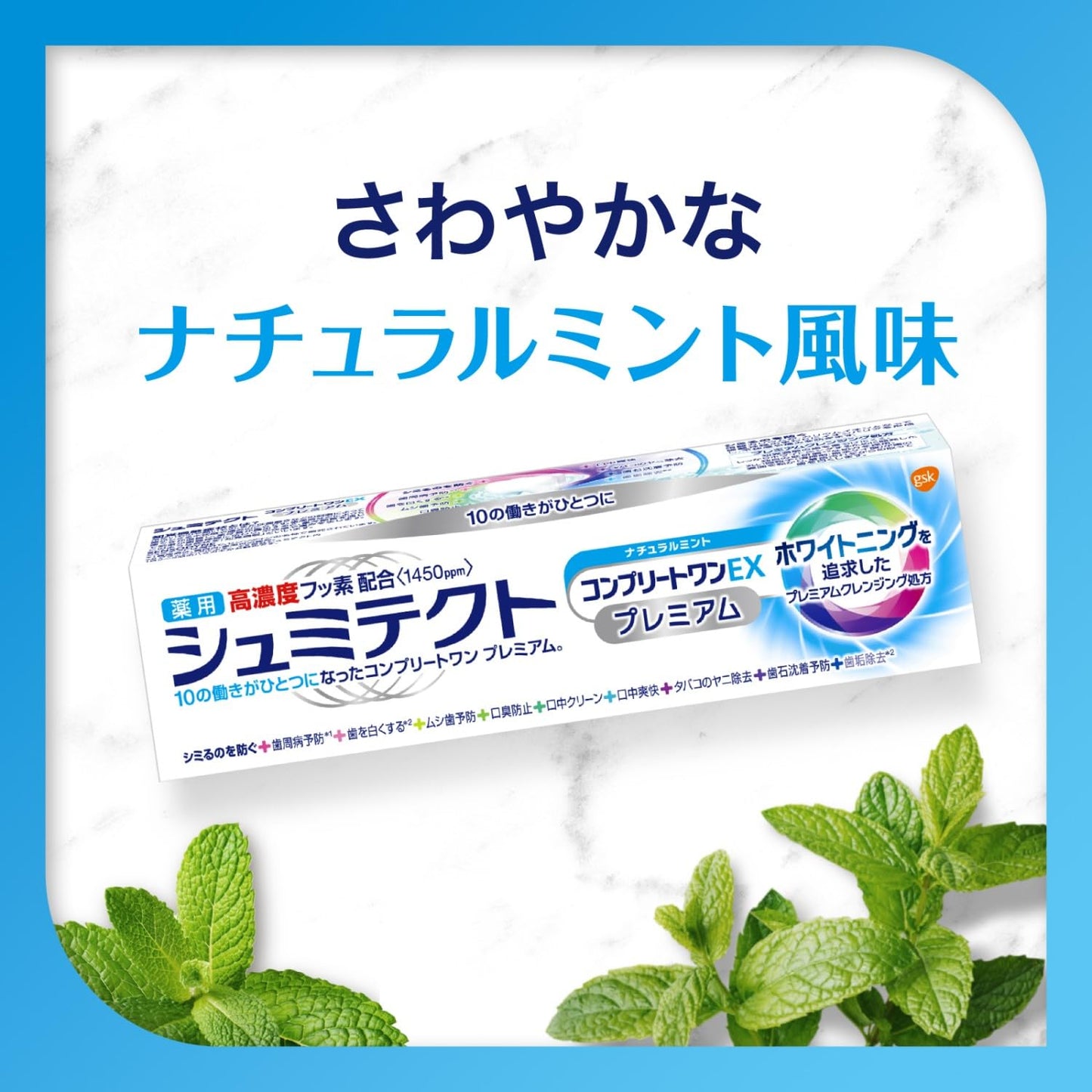 シュミテクト　コンプリートワンＥＸプレミアム　ナチュラルミント〈１４５０ｐｐｍ〉　９０ｇ 容量90G歯磨き