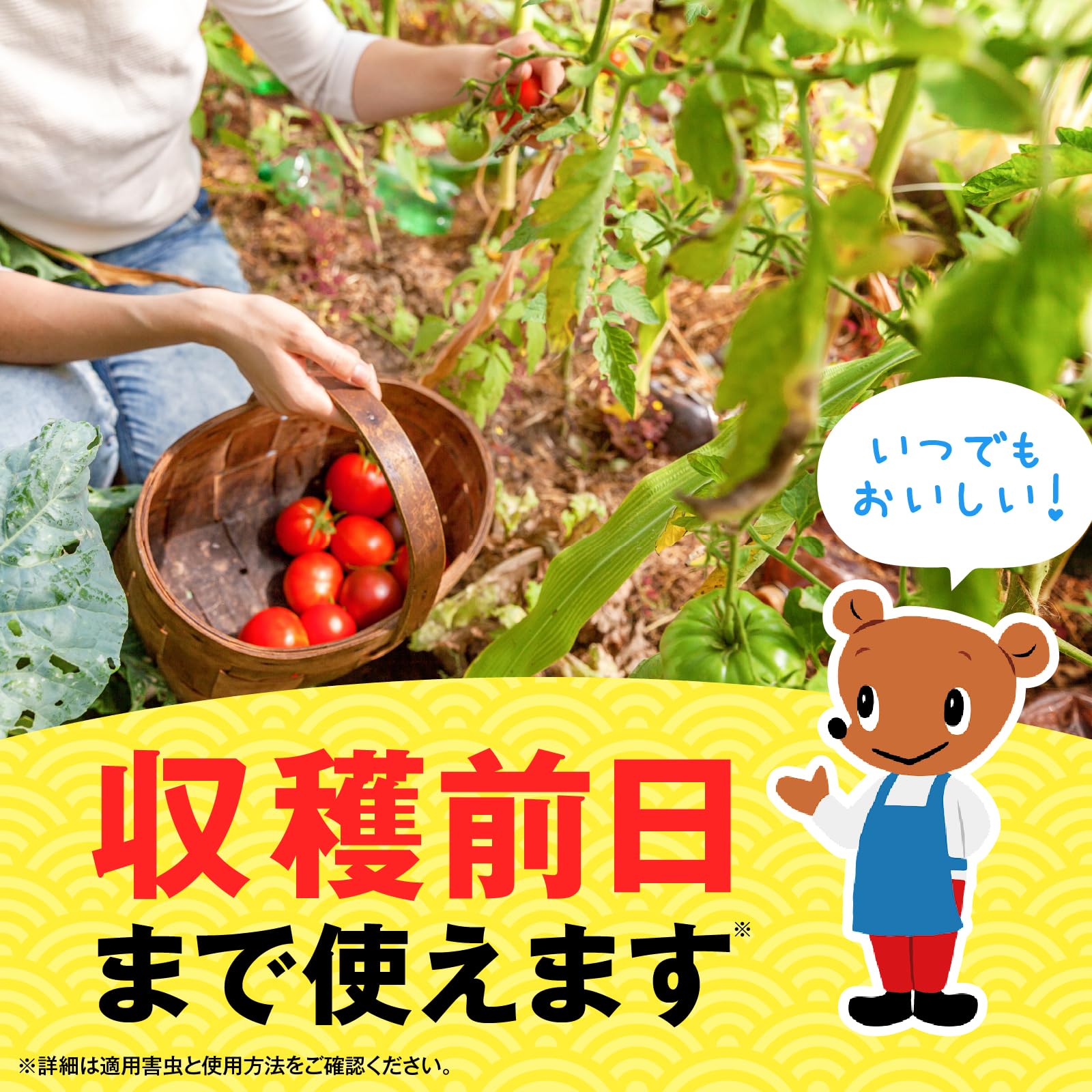 アースガーデン　いろいろな植物つよし粒タイプ　６５０ｇ 容量650G アース製薬 園芸用品・殺虫剤