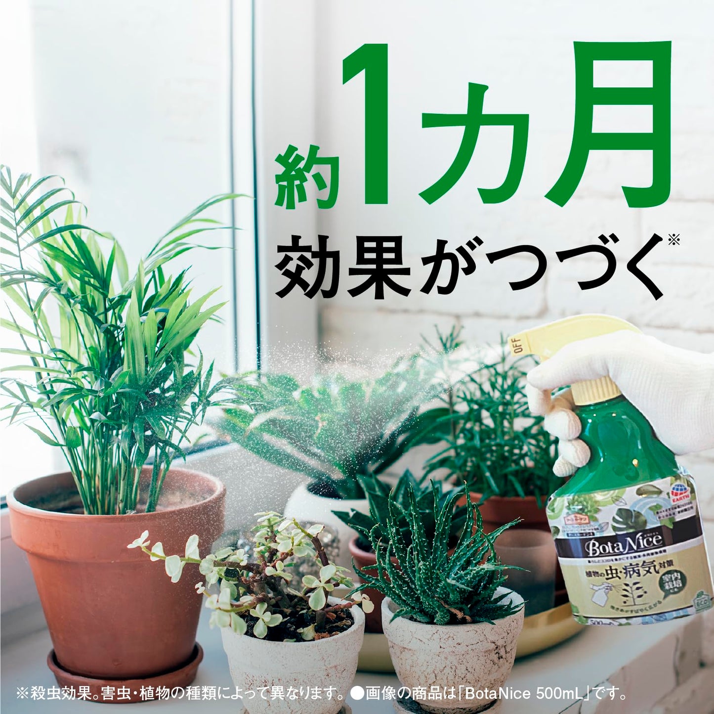 ＢｏｔａＮｉｃｅ植物の虫・病気対策スプレー　５００ｍＬ 容量500ML アース製薬 園芸用品・殺虫剤