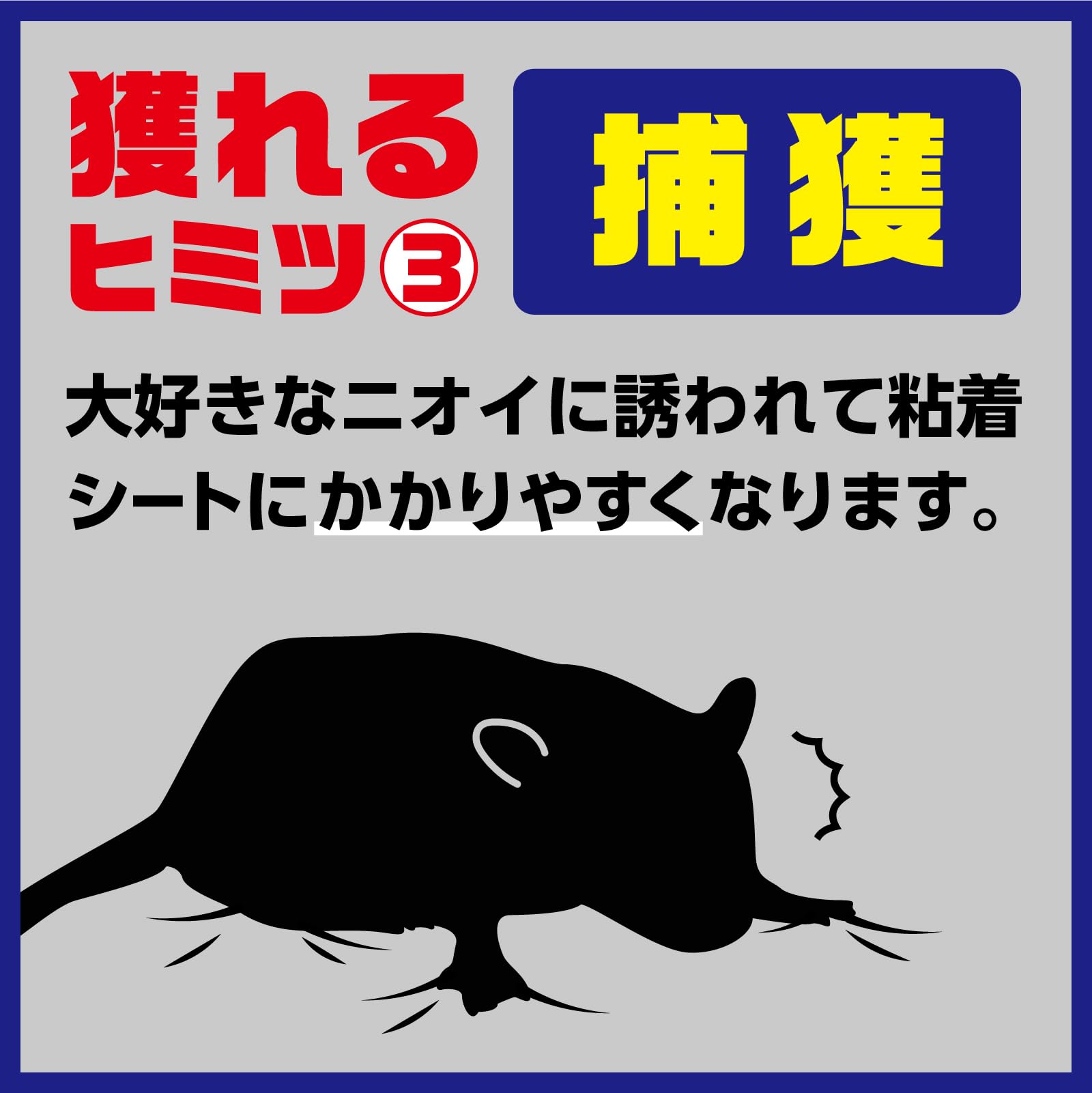 アースガーデン　ネズミ専用立入禁止　エサ付き粘着シート　１０セット入 容量10ｺ園芸用品・忌避剤