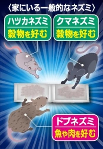 ドラデスパワーまとめて一掃６個入 容量6ｺ フマキラー 殺虫剤・ネズミ
